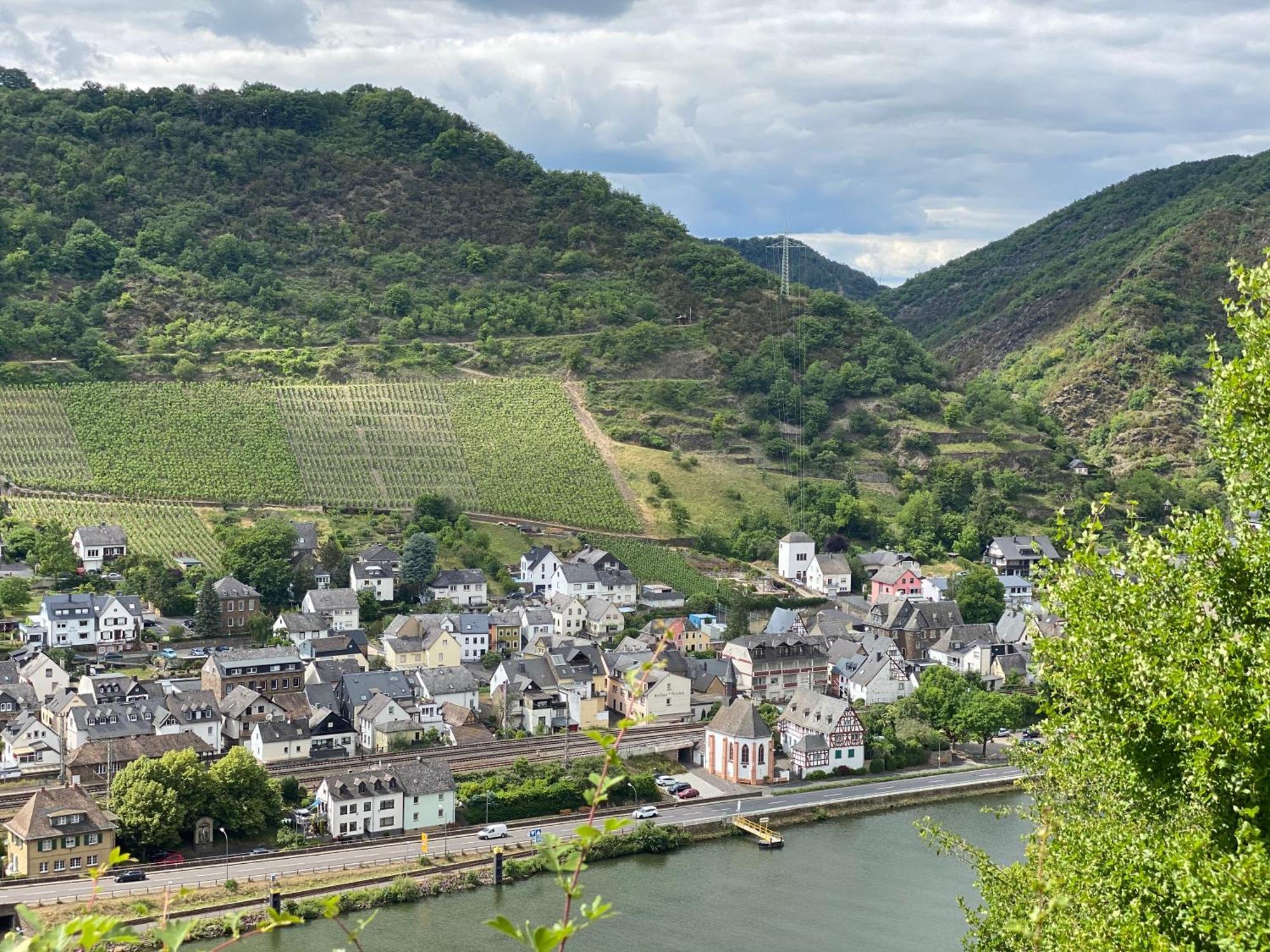 Mike'S Mosel Lodge Treis-Karden Εξωτερικό φωτογραφία